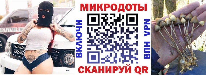 Галлюциногенные грибы мухоморы  Купить закладки  Михайловск 